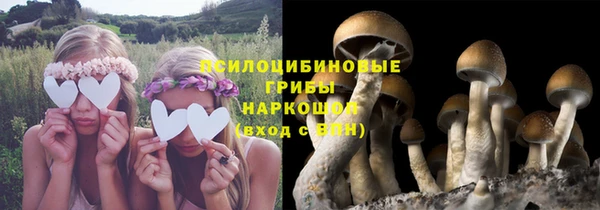 ГАЛЛЮЦИНОГЕННЫЕ ГРИБЫ Аркадак