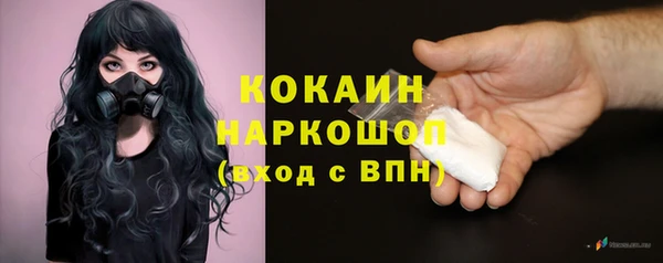 ГАЛЛЮЦИНОГЕННЫЕ ГРИБЫ Аркадак