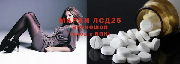 ГАЛЛЮЦИНОГЕННЫЕ ГРИБЫ Аркадак