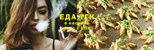 ГАЛЛЮЦИНОГЕННЫЕ ГРИБЫ Аркадак