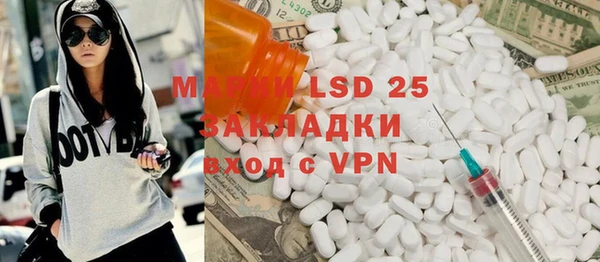 ГАЛЛЮЦИНОГЕННЫЕ ГРИБЫ Аркадак