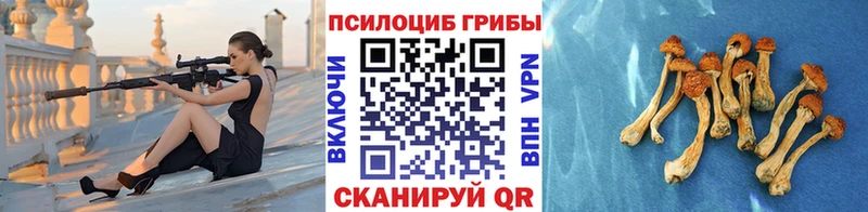 Купить  Кушва  Псилоцибиновые грибы GOLDEN TEACHER 